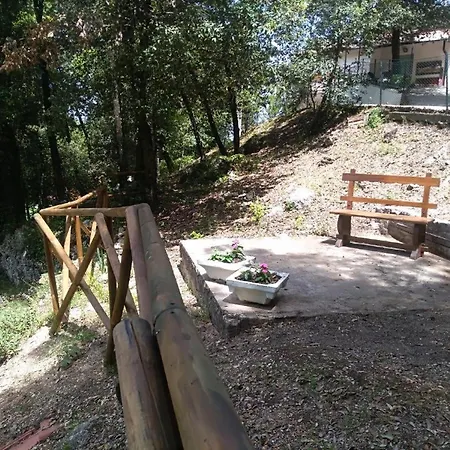 Room In Bb - Bb Il Leccio , Umbria Pensionat *
