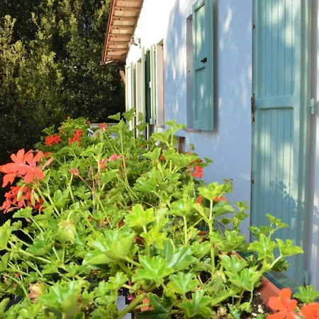 Room In Bb - Bb Il Leccio , Umbria Amelia