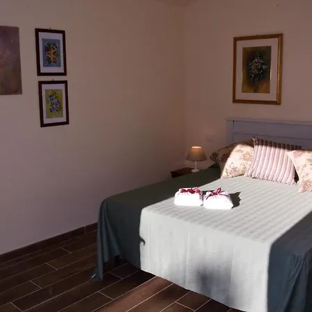 Room In Bb - Bb Il Leccio , Umbria Pensionat