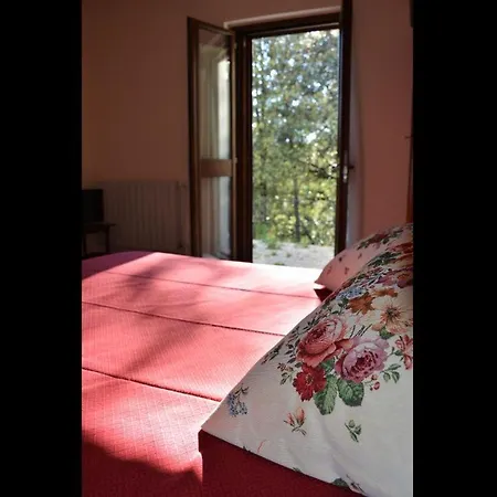 Room In Bb - Bb Il Leccio , Umbria Pensionat