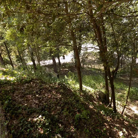 Pensionat Room In Bb - Bb Il Leccio , Umbria Amelia