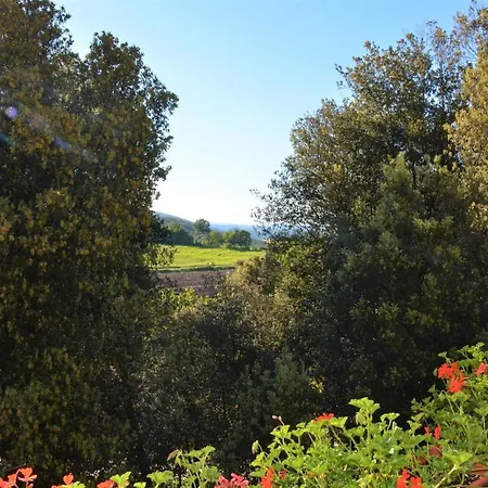 Room In Bb - Bb Il Leccio , Umbria Amelia