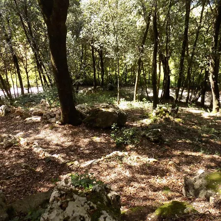 Room In Bb - Bb Il Leccio , Umbria * אמליה
