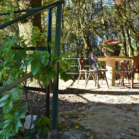 Room In Bb - Bb Il Leccio , Umbria * Amelia