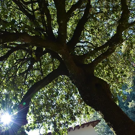 Pensionat Room In Bb - Bb Il Leccio , Umbria Amelia