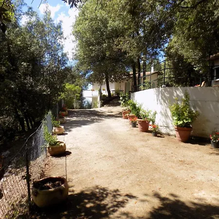 Room In Bb - Bb Il Leccio , Umbria בית הארחה אמליה