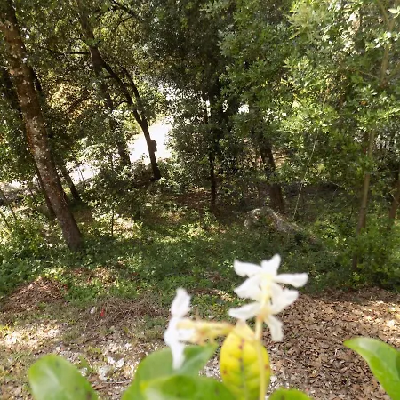 בית הארחה Room In Bb - Bb Il Leccio , Umbria *